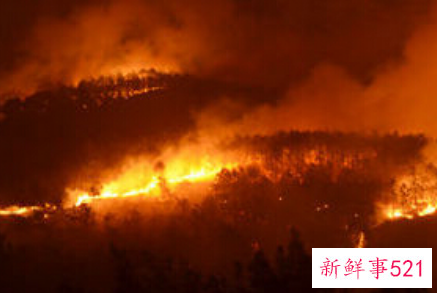 梦见放火烧别人房子