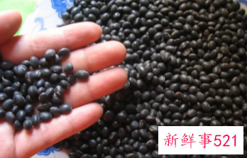 黑豆的食疗功效与用法