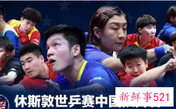 为什么马龙许昕刘诗雯不参加世乒赛