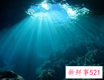 梦见去海底世界