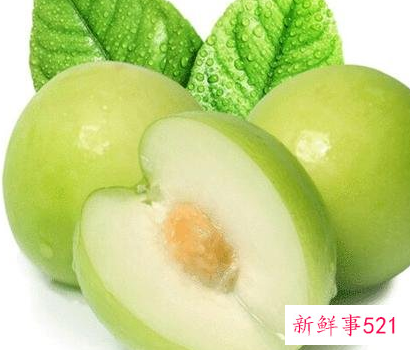 牛奶枣是寒性还是热性