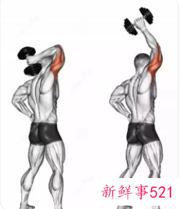 怎样快速锻炼手臂肌肉