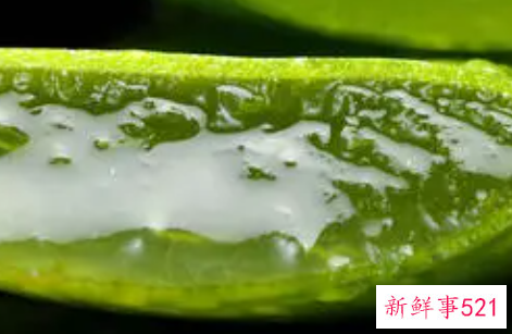 教你自制7款芦荟护肤面膜