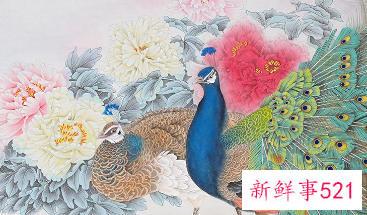 两只孔雀的画是什么意思