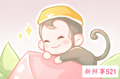 梦到好多小猴子