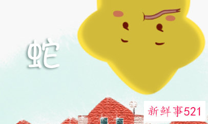 属蛇的房间适合什么颜色