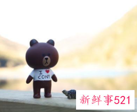 什么样的人容易被人欺负