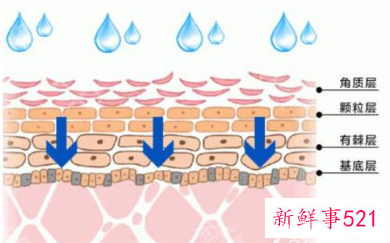 怎么判断皮肤水油平衡
