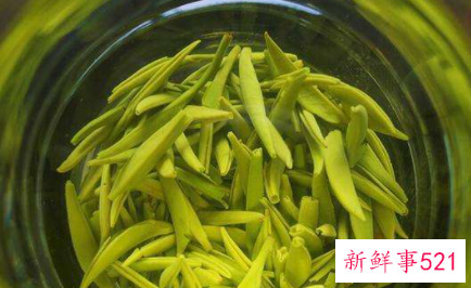 雀舌和毛尖的区别