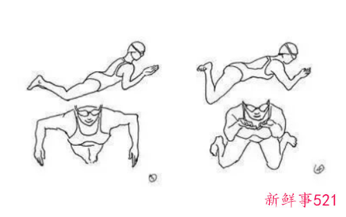 蛙泳正确的划水姿势