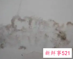 自己动手简单旧房翻新贴墙纸