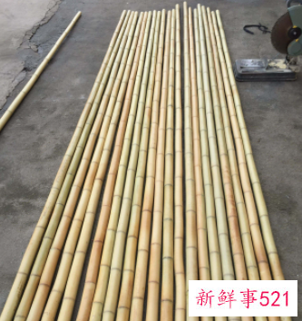 梦见用竹竿打核桃