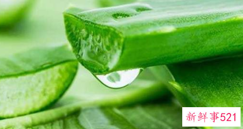 教你自制7款芦荟护肤面膜
