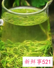 寒性极强的食物