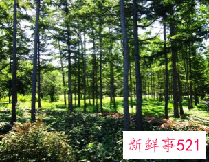 五一适合去哪里玩穷游哈尔滨周边