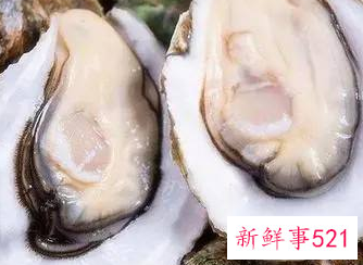 一箱生蚝怎样保存时间长