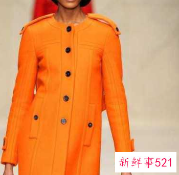 什么颜色衣服显黑吗