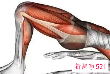 锻炼肌肉的准备活动