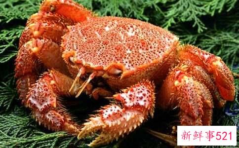 梦见螃蟹预示着些什么