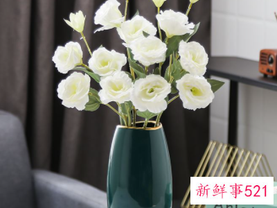 家居中如何正确摆放风水吉祥物