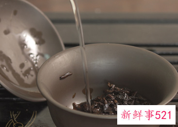 普洱茶怎么泡好喝
