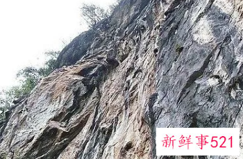 怀孕梦见悬崖土路