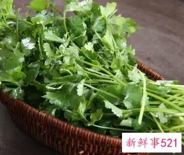 不吃香菜的人体内缺少什么