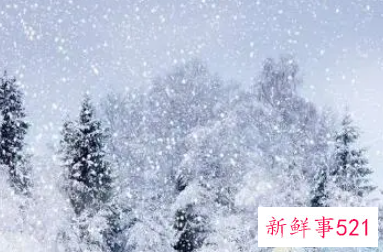梦见下雪是戴孝吗