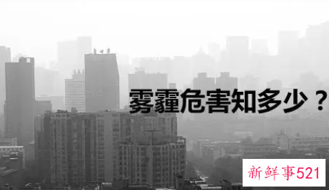 雾霾对人体的危害有哪些