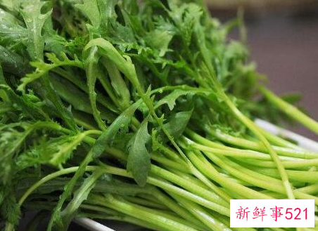 男人为什么不能吃茼蒿