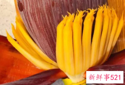 香蕉花的功效与作用