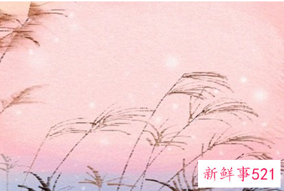 1991年属羊女一生婚姻