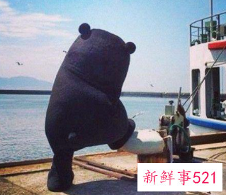 什么样的人容易被人欺负