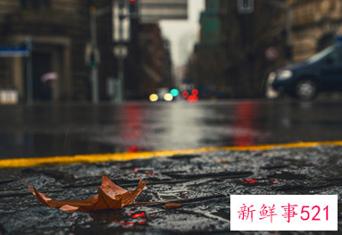 南风天家里面很湿怎么办