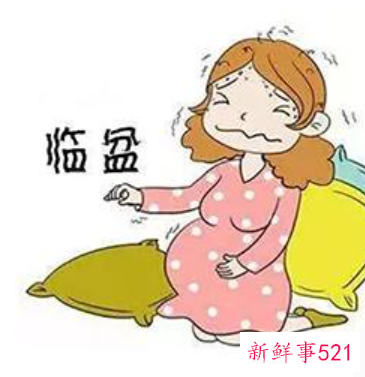 临产前15天的症状