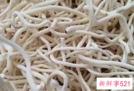 通草可以直接泡水喝吗