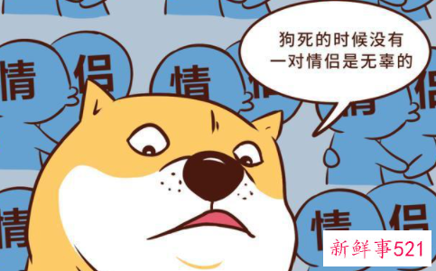 亲吻的时候伸舌头表示什么意思的