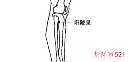 穴位按摩瘦小腿的方法有哪些