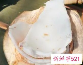 椰子里面的白肉怎么吃