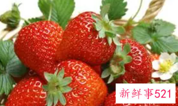 草莓的功效止咳