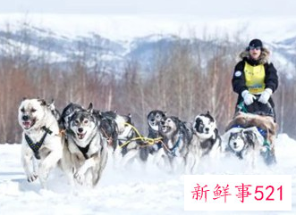 俄罗斯首届北极运动会将有160多名运动员参赛