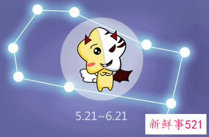 双子座适合养猫吗