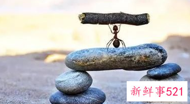 激励团队积极性