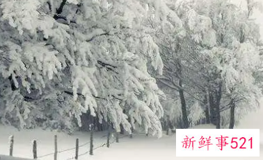 梦见下雪是戴孝吗
