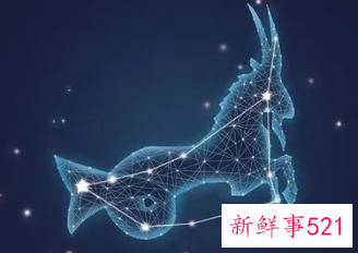 应该如何追求摩羯座女生