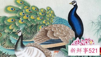 两只孔雀的画是什么意思