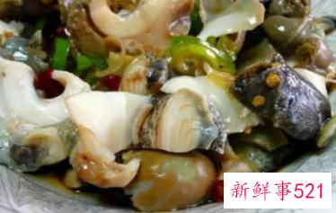 海螺怎么存放时间长