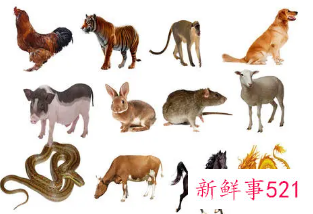 最旺夫的生肖女