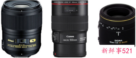 微距镜头放大率