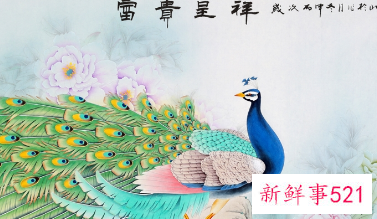 两只孔雀的画是什么意思